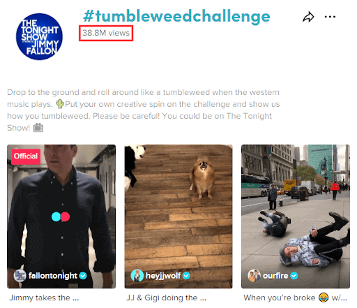 tumbleweed challenge 2